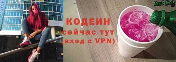 прущий лед Алзамай