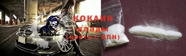 прущий лед Алзамай